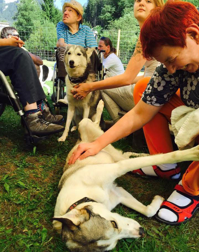 Huskyfieber Menschen mit besonderen Bedürfnisse1 Eine Gruppe von Menschen mit besonderen Bedürfnissen streichelt auf einer Wiese 2 Huskys