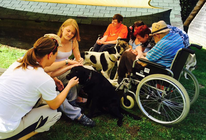 Huskyfieber Menschen mit besonderen Bedürfnisse Eine Gruppe von Menschen mit besonderen Bedürfnissen freut sich über den Besuch der Huskys und nimmt behutsam Kontakt zu ihnen auf.