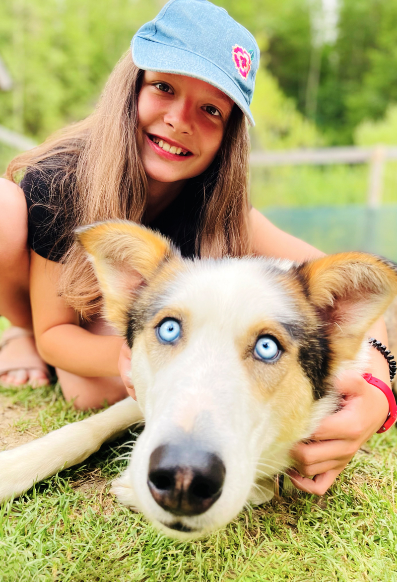 Junges Mädchen das einen Husky streichelt