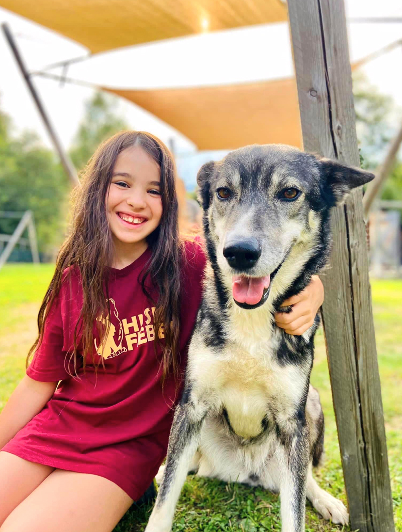 Huskyfieber Feriencamp Junges Mädchen das einen Husky streichelt