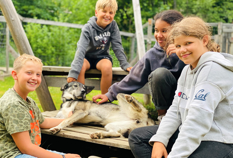 Huskyfieber Feriencamp 4 fröhliche Kinder streicheln einen Husky der auf einer Bank liegt