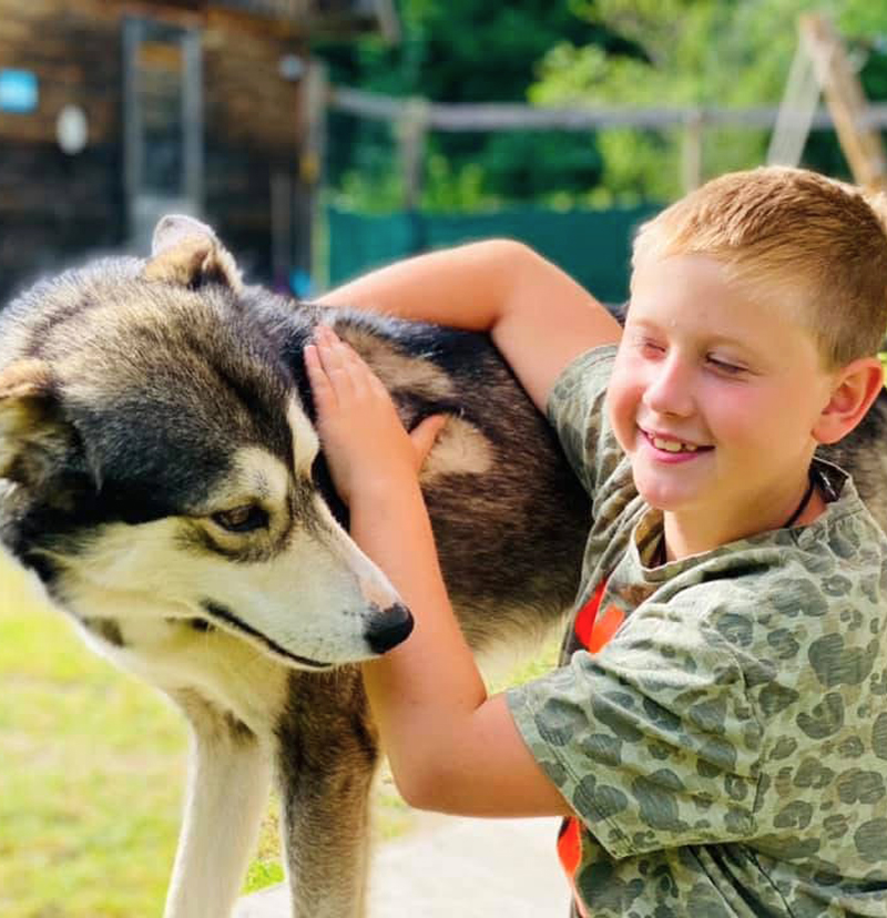 Huskyfieber Feriencamp Fröhlicher Junge der einen Husky streichelt