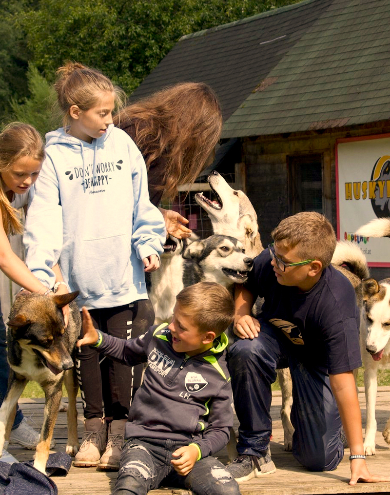 Huskyfieber Bild mit Kindern und Huskys die am Feriencamp Angebot teilgenommen haben
