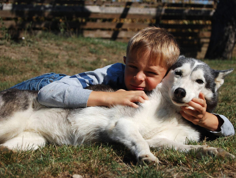 Junger Bub, der sich furchtlos an einen Husky kuschelt