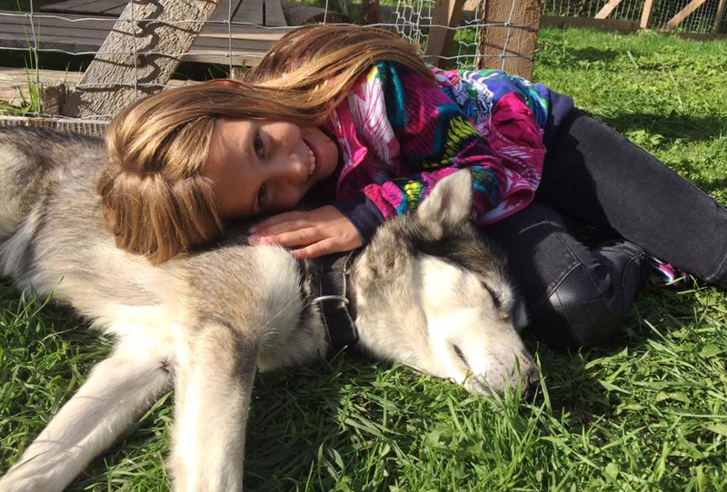 Huskyfieber Huskyparty Junges Mädchen, das sich im Gras liegend an einen Husky kuschelt