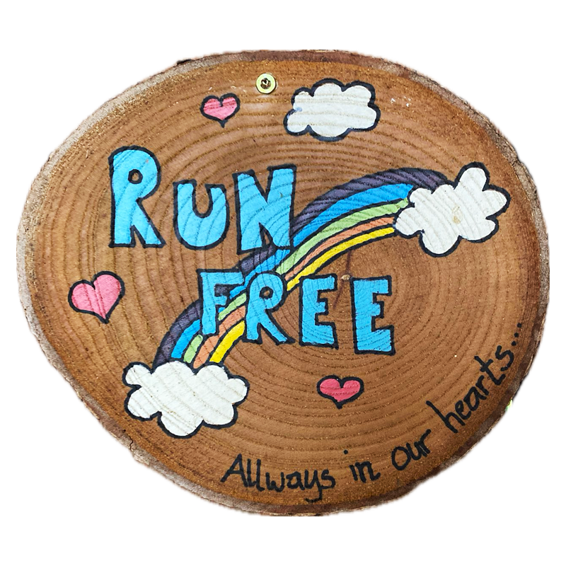 Bild von einer Holzscheibe mit dem Run Free Schriftzug