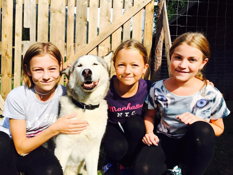 3 Mädchen, die mit einem Husky in die Kamera lächeln